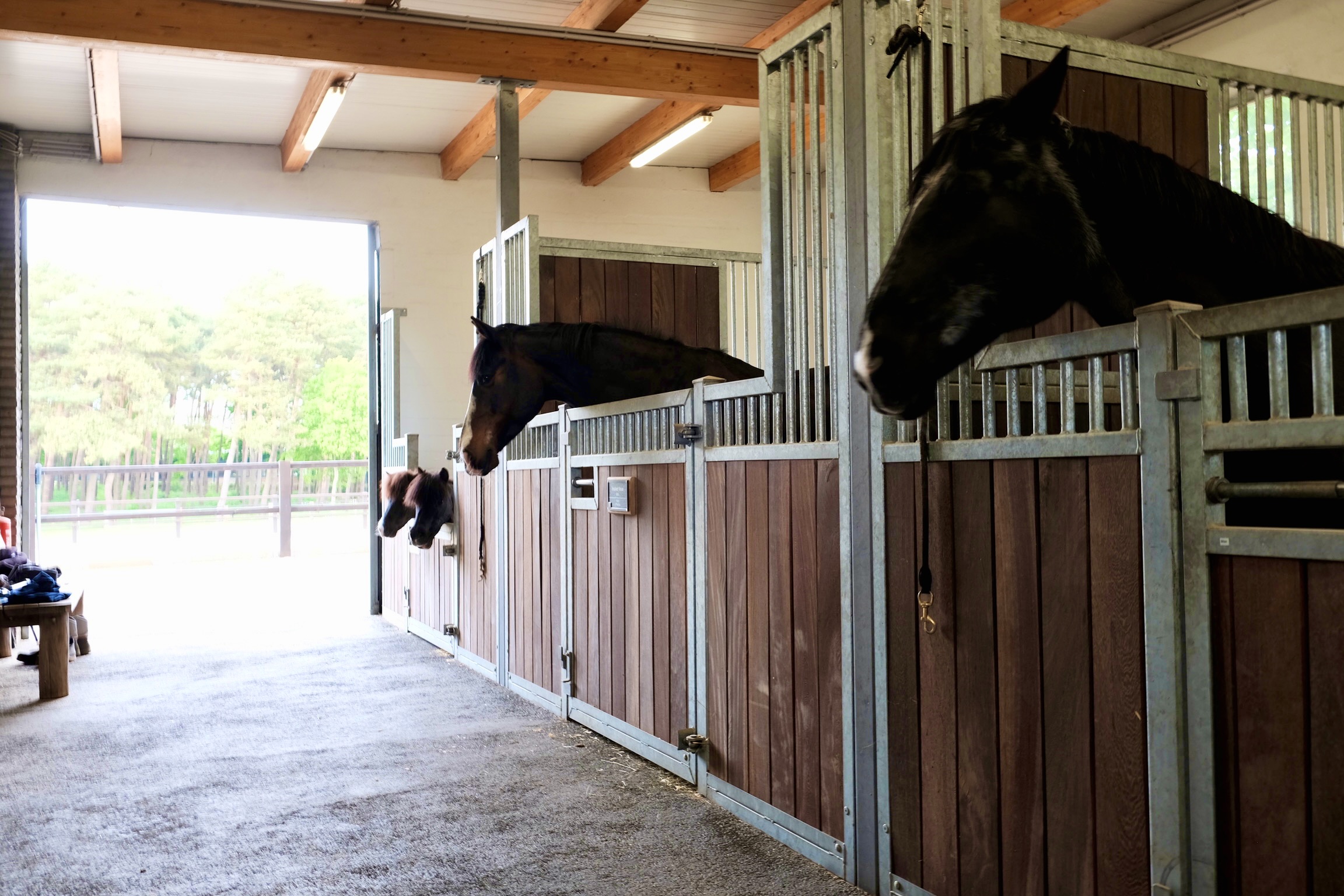 Stallgasse mit drei Boxen